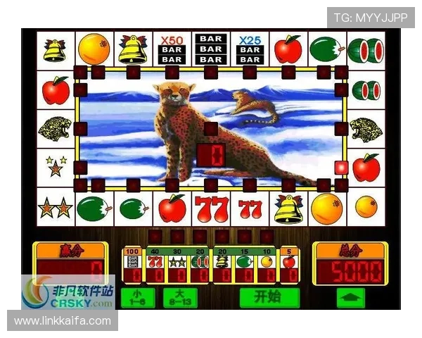 真人老虎机在线试玩免费体验，丰富游戏种类让你随时随地享受精彩刺激